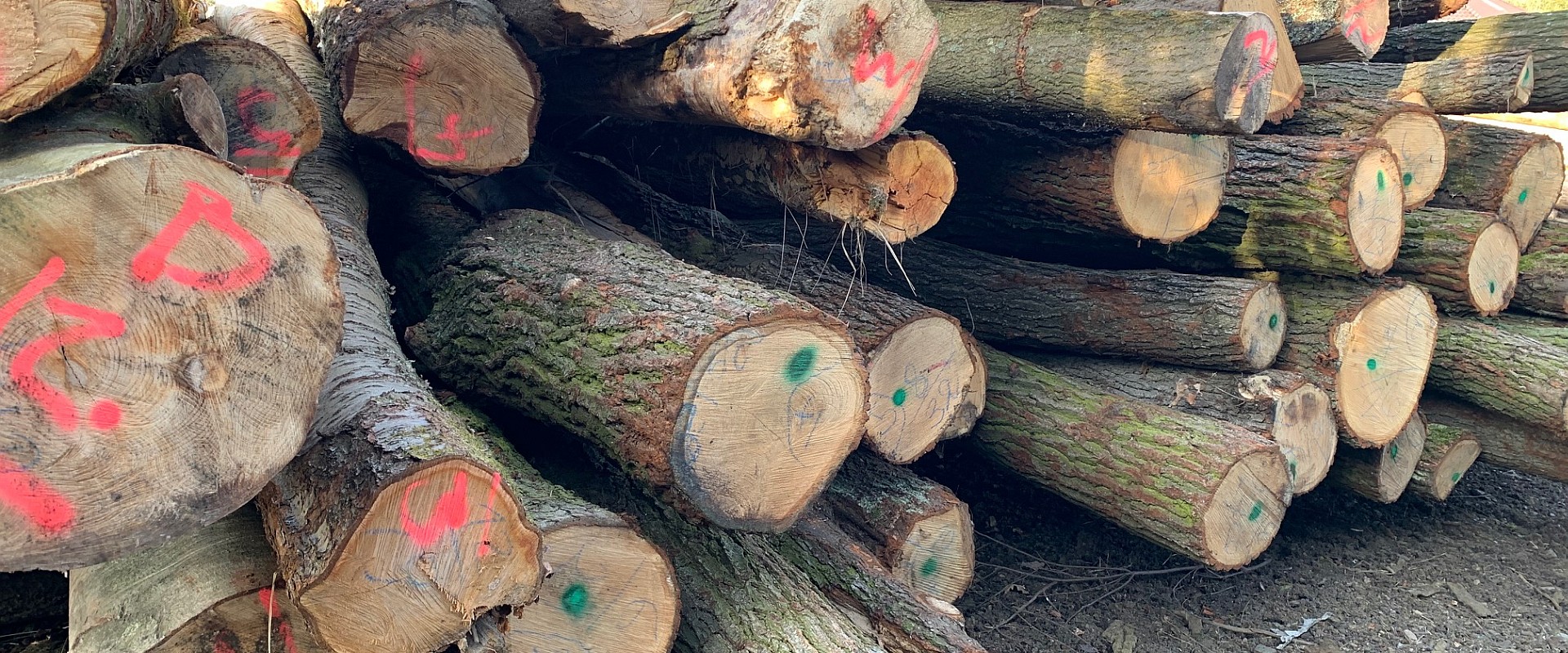 Hunt 6